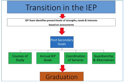 Transition in the IEP graphic chart