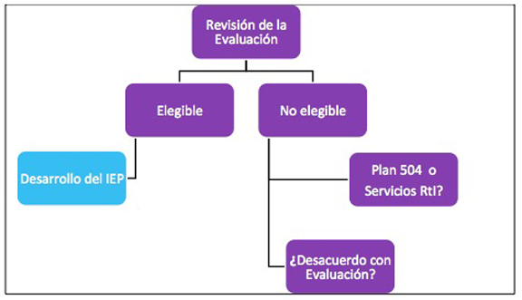 No Elegible para los Servicios