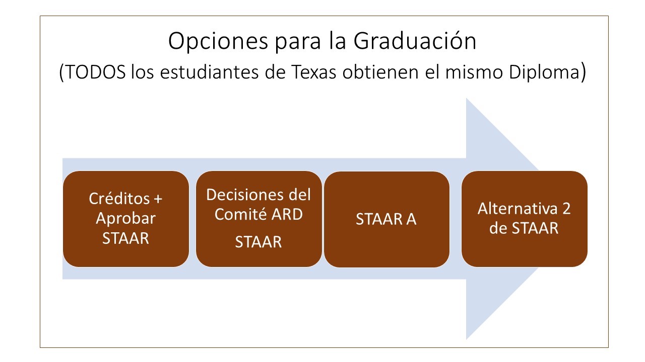 Opciones para la graduacion