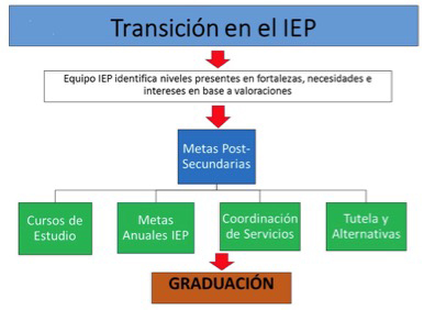 Transicion en el IEP